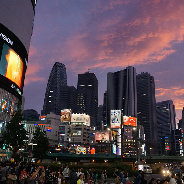 Tokyo Attractions at Night