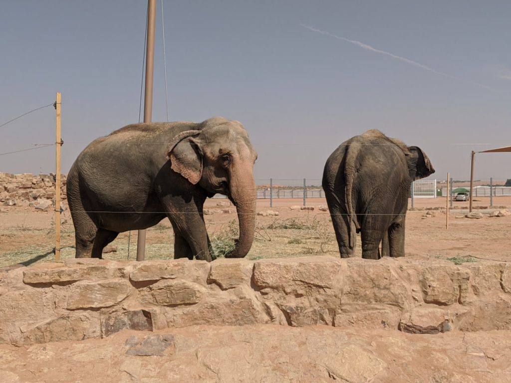 Wildlife Park riyadh