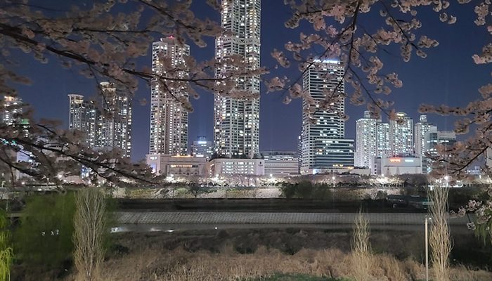 Seoul night attractions