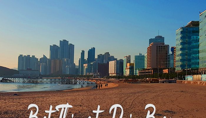 Best Things to Do in Busan