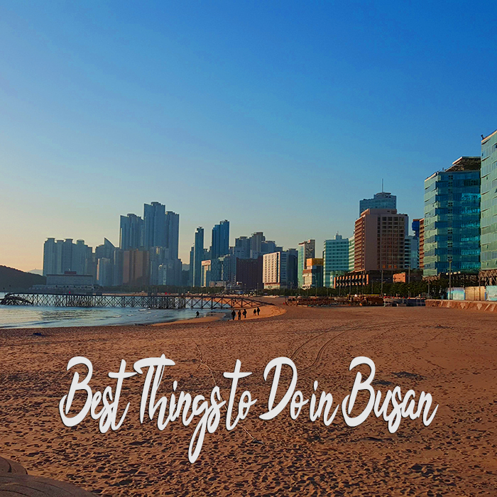 Best Things to Do in Busan