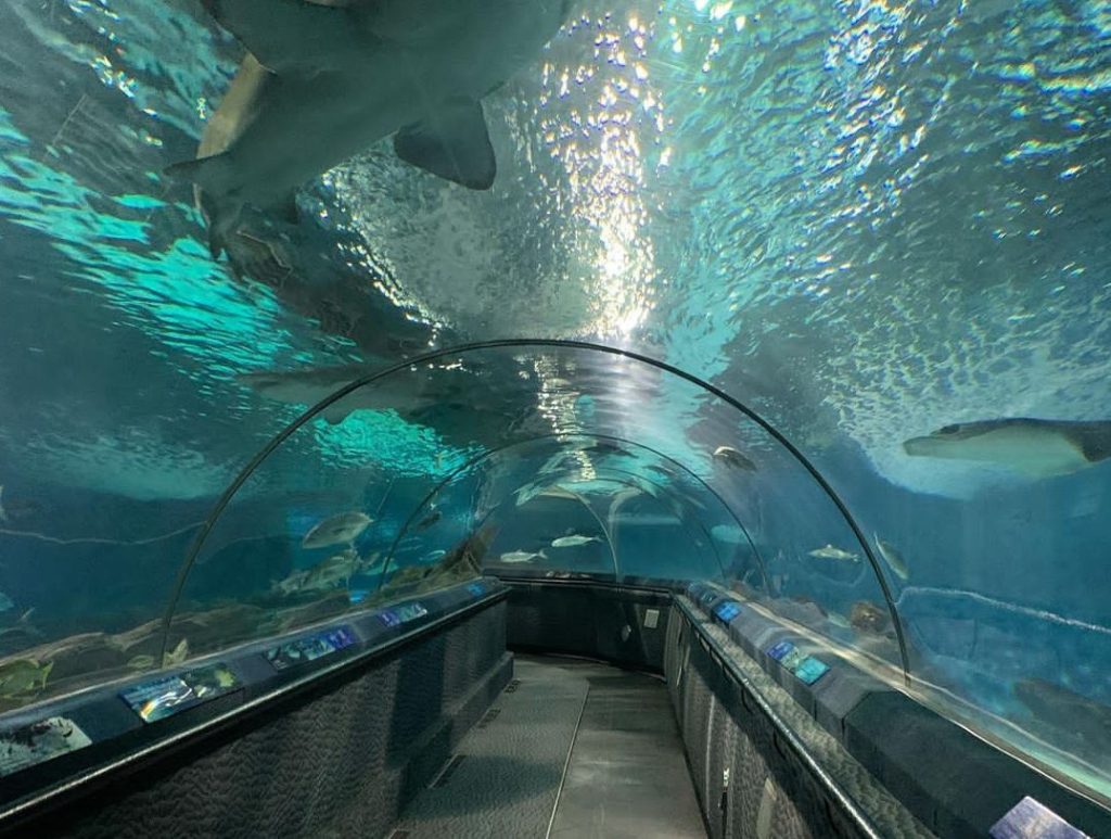 Shanghai Ocean Aquarium