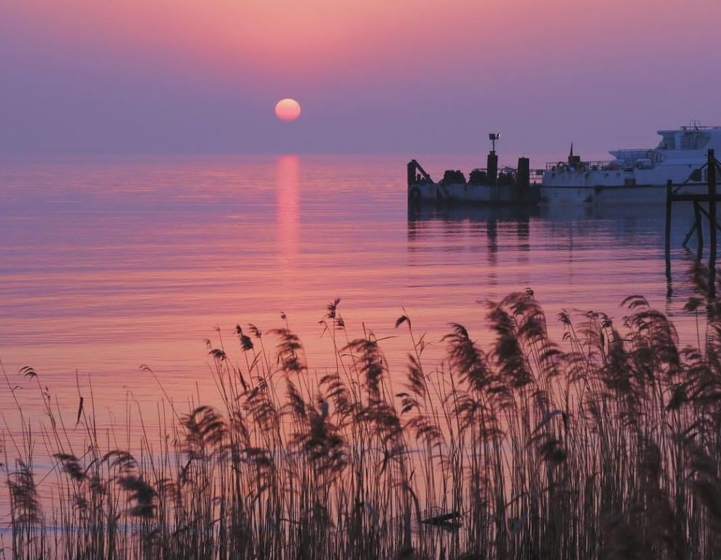 chongming island in shanghai