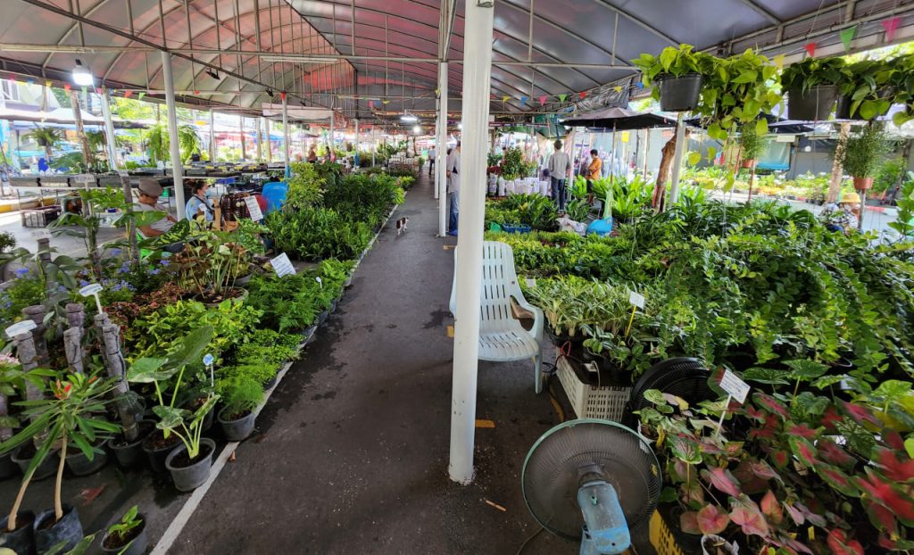 Flower Market