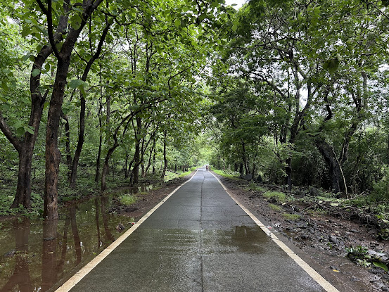 Sanjay Gandhi National Park (Borivali National Park)