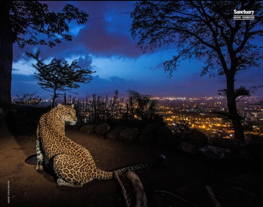 Sanjay Gandhi National Park (Borivali National Park)